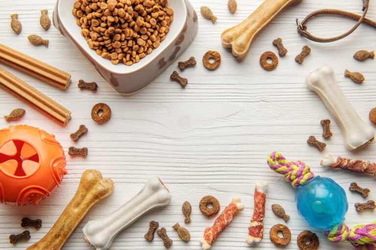 Are treats safe for puppies? List Of Recommended Safe And Nutritious Treats