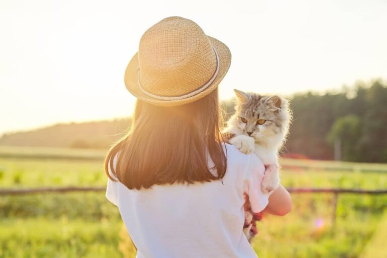 list of countries to travel internationally with a cat.
