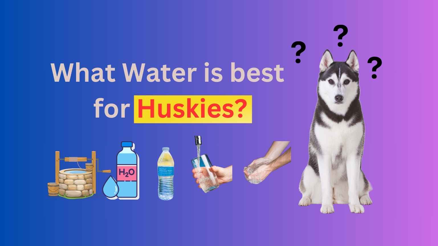 What Water is best for Huskies?