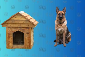 What is the ideal housing for German Shepherds.